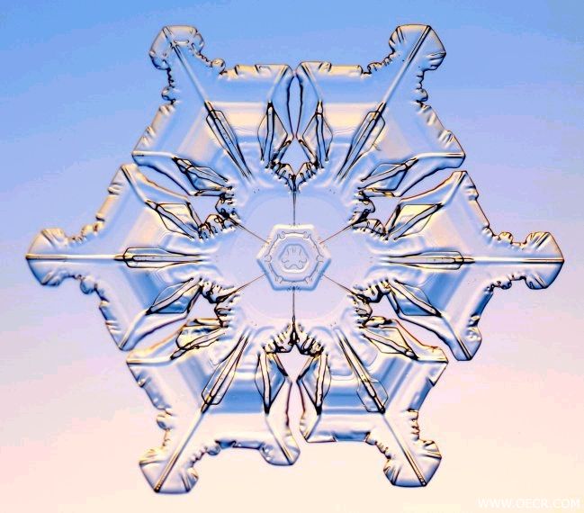 冬天的雪花.jpg