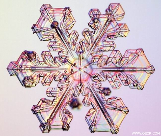 冬天的雪花 (16).jpg