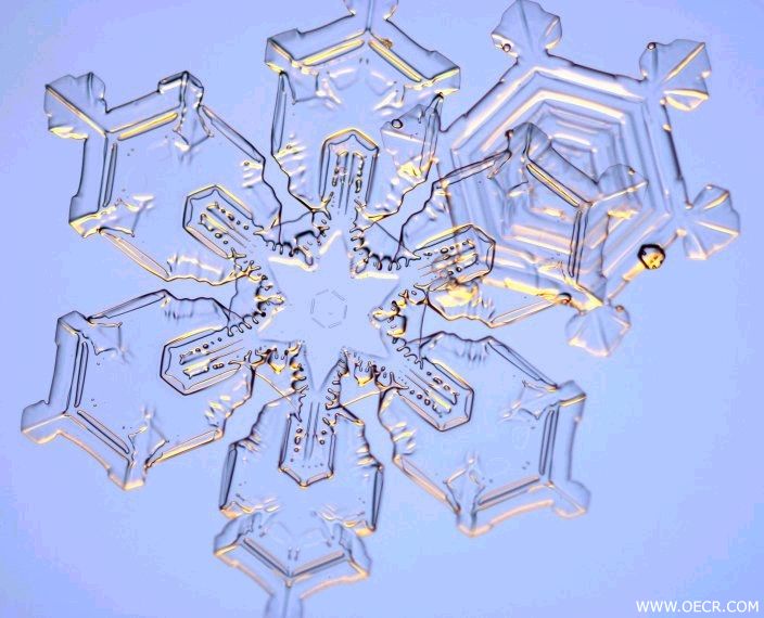 冬天的雪花 (19).jpg