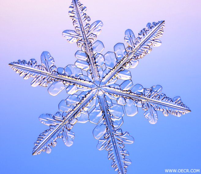 冬天的雪花 (18).jpg