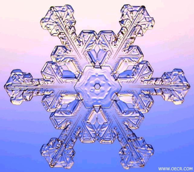 冬天的雪花 (1).jpg