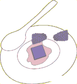 4.gif
