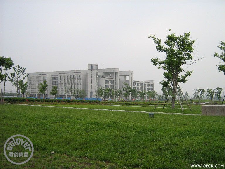 456.jpg