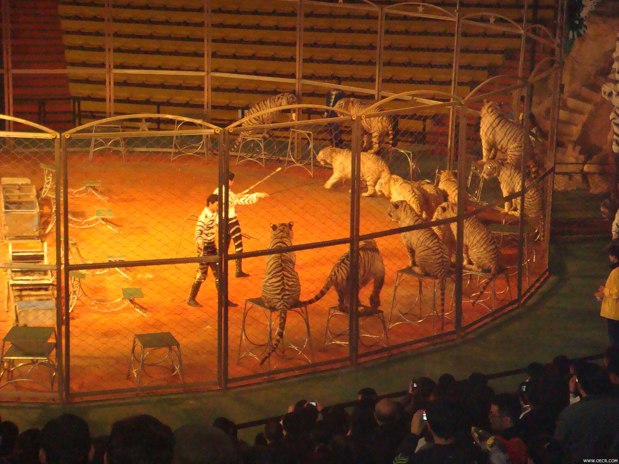 DSC00893.JPG