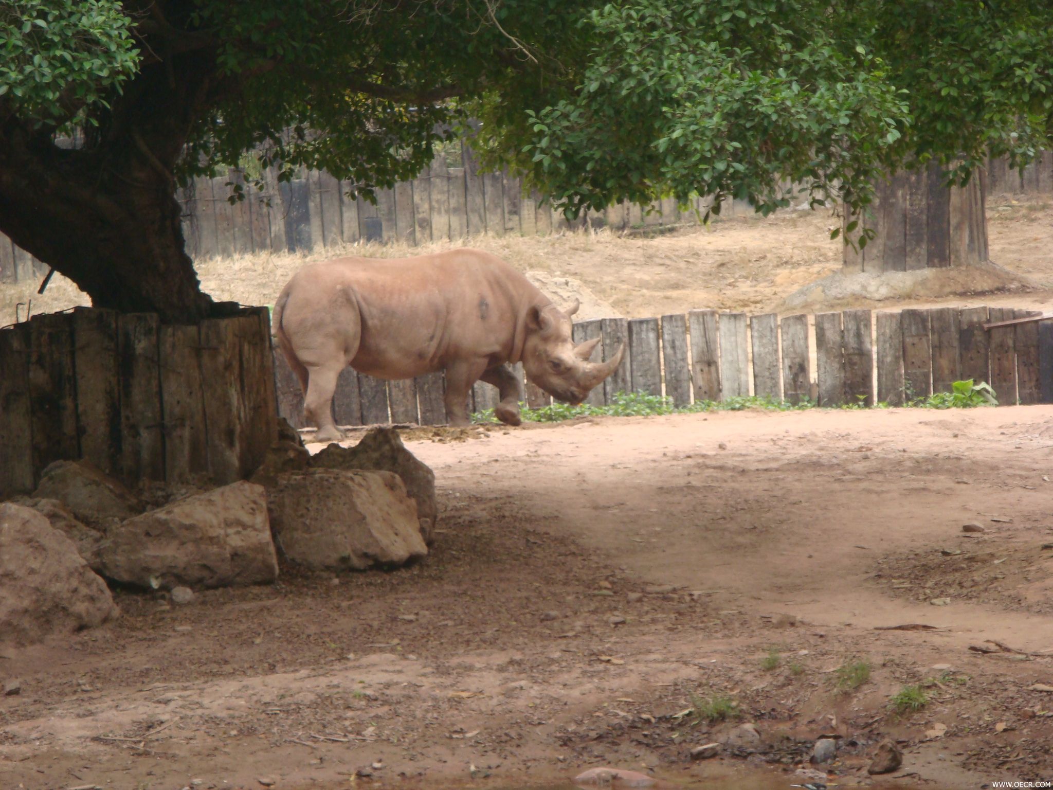DSC00747.JPG