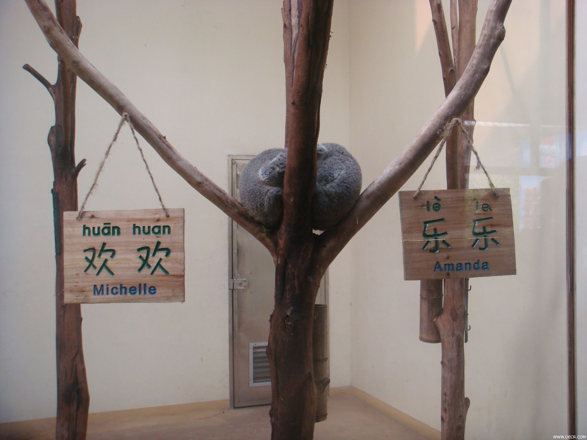 DSC00906.JPG