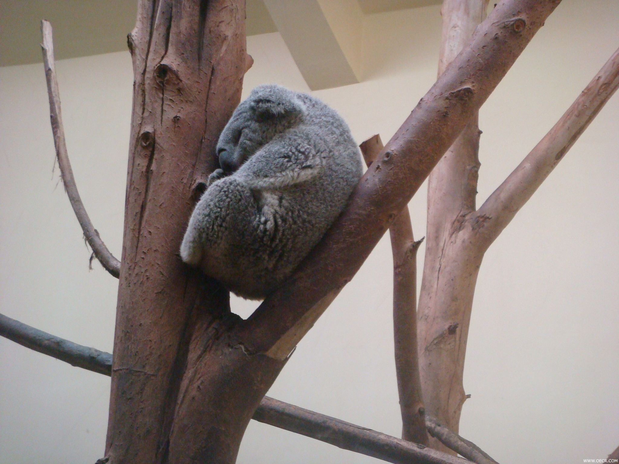 DSC00905.JPG