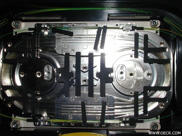 P4010004.jpg