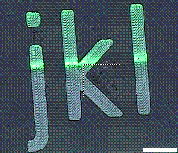 多雕1.GIF