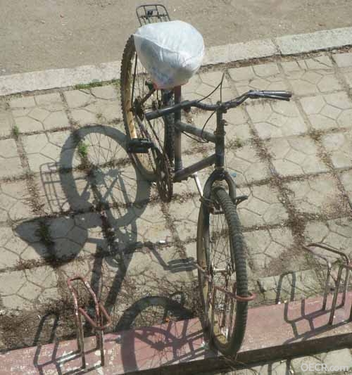 DSCN3187.jpg