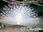 u=2733737891,1984923420&amp;fm=0&amp;gp=16.jpg