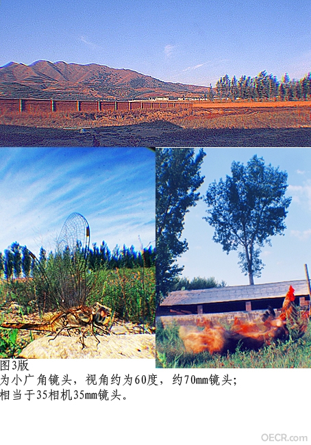 5863359.jpg