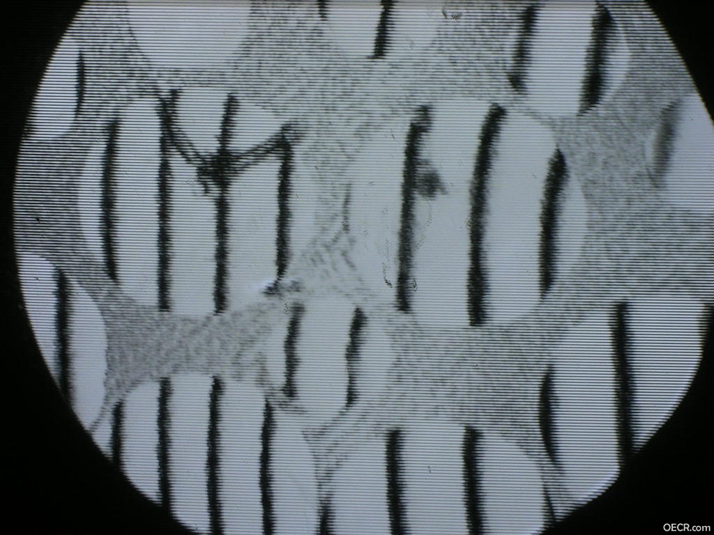 DSCN8620.JPG