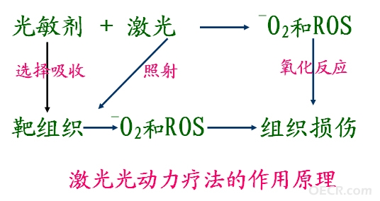 光动力原理.jpg