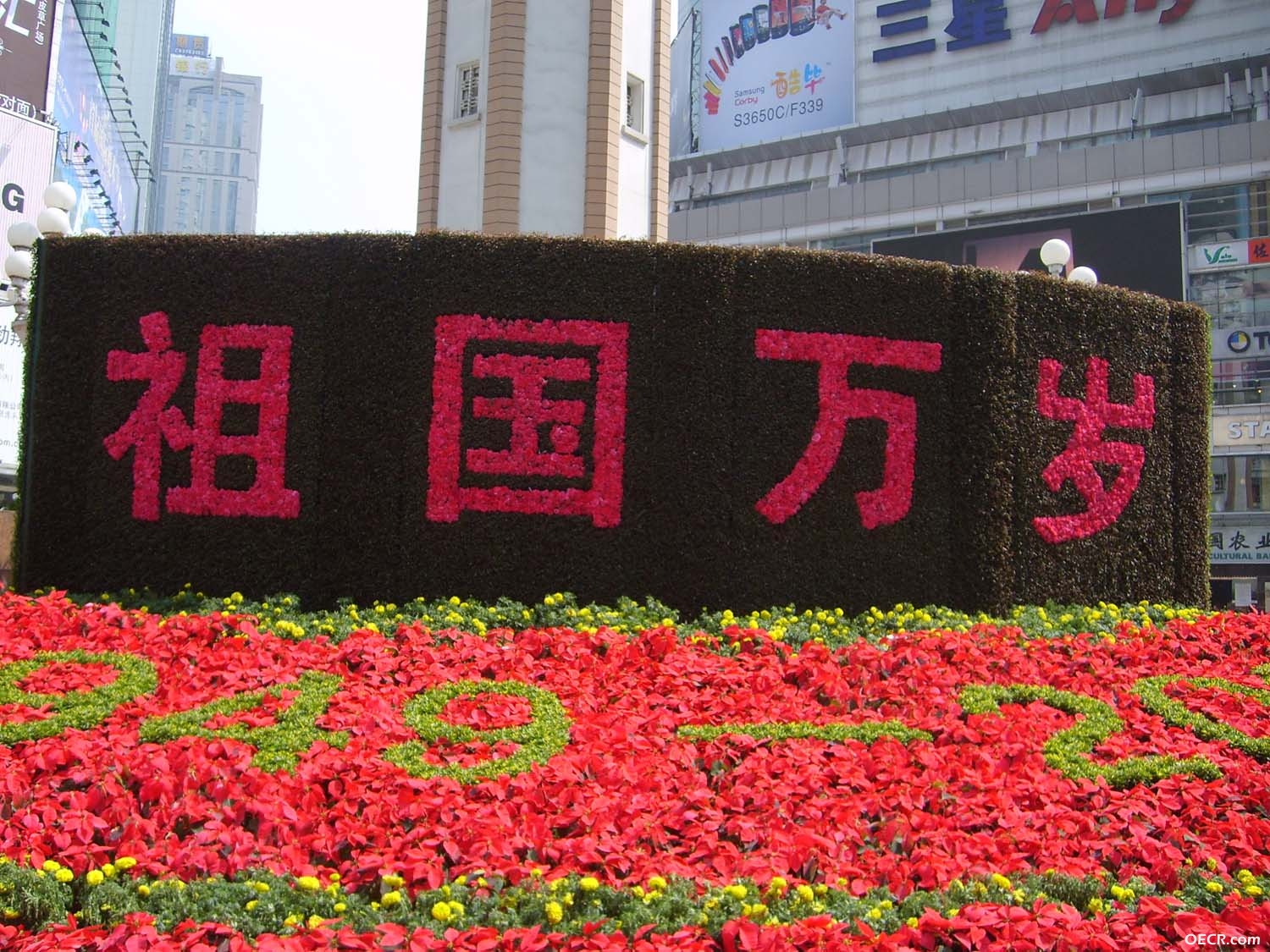 S6000031a.jpg